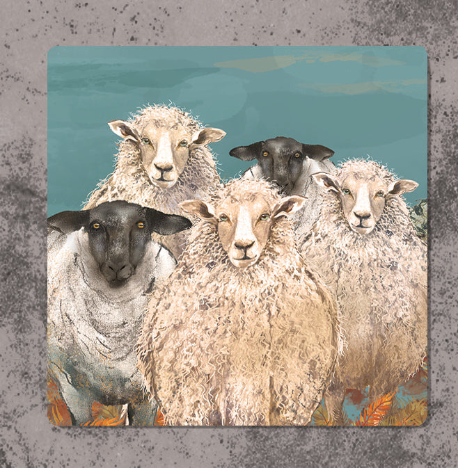 Highland Sheep Coaster
