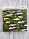 Notecards - Pack 3