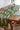 Sardine Table Runner
