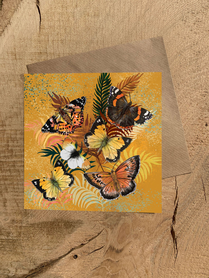 Pack of 5 Greeting Cards - British Wildlife