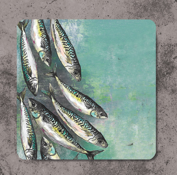 Mackerel Shoal Coaster