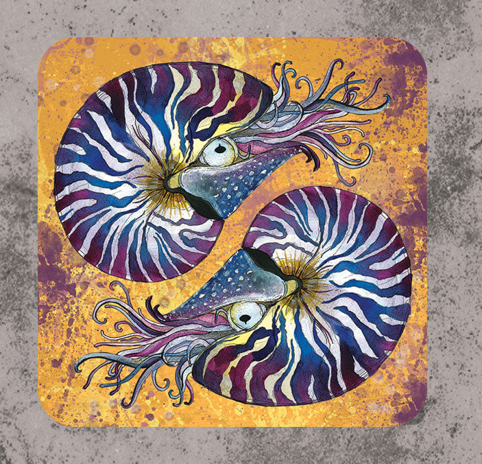 Nautilus Coaster