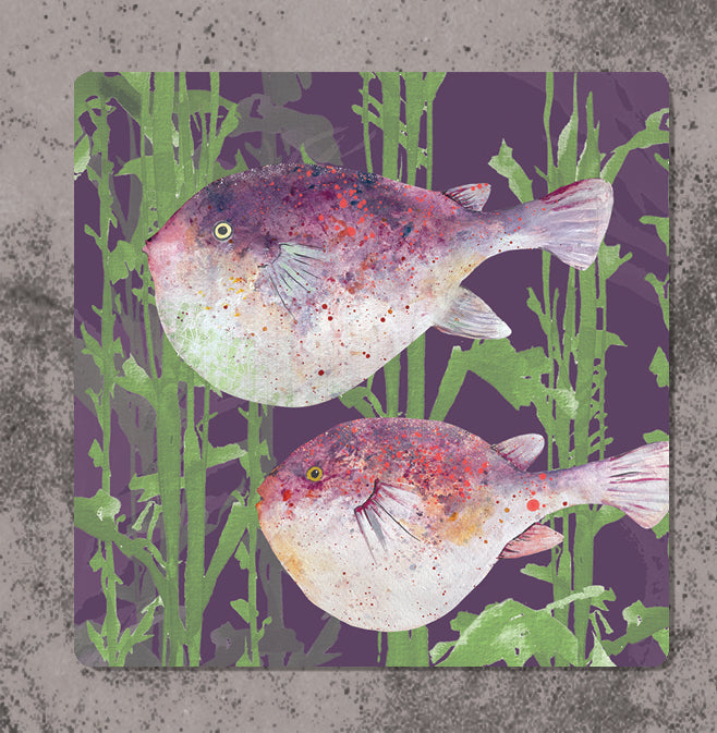 Highland Pufferfish Coaster