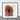 Squirrel Art Print