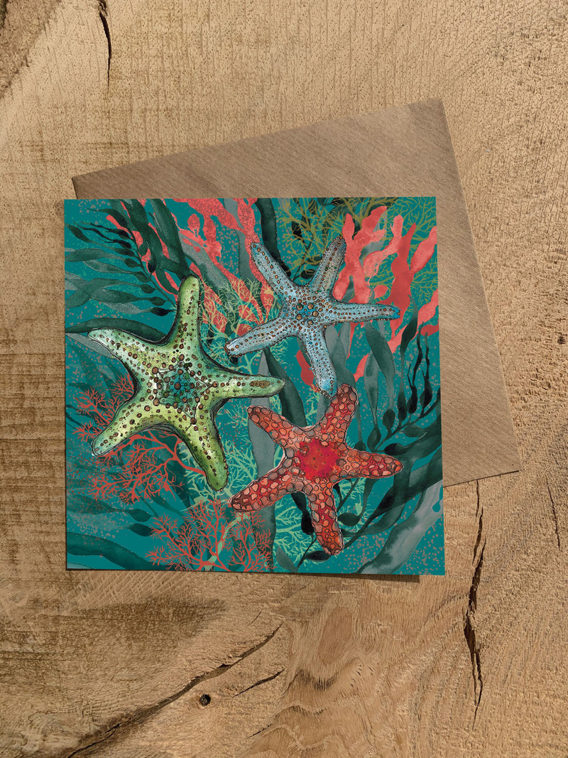 Pack of 5 Greeting Cards - Coastal
